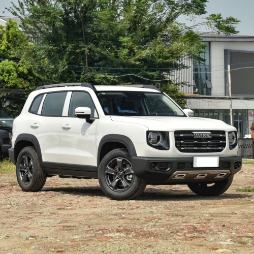 Hot Selling GWM Haval Big Dargo Step 4 Wheel Top Quality Petrol Gasoline Cars