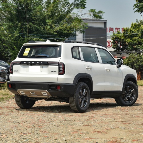 Hot Selling GWM Haval Big Dargo Step 4 Wheel Top Quality Petrol Gasoline Cars