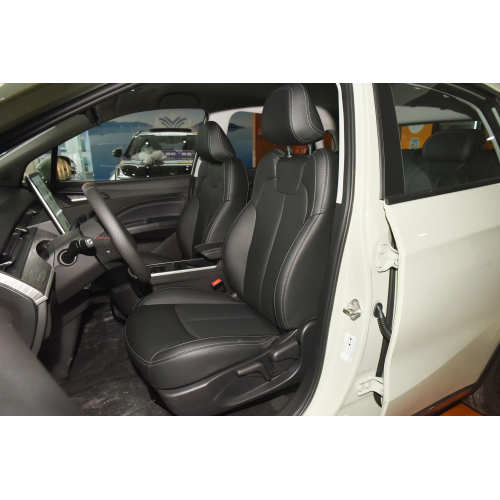 Neta V New Energy Vehicles Electric Mini Cars