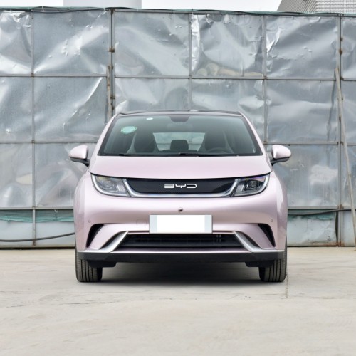 Best Price BYD Dolphin China Small Mini EV Electric Vehicles New Cars