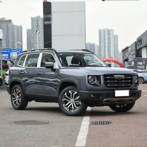 GWM Haval Dargo 1.5T 2.0T 2023 2022 Accessories Petrol Gasoline Cars For Sale