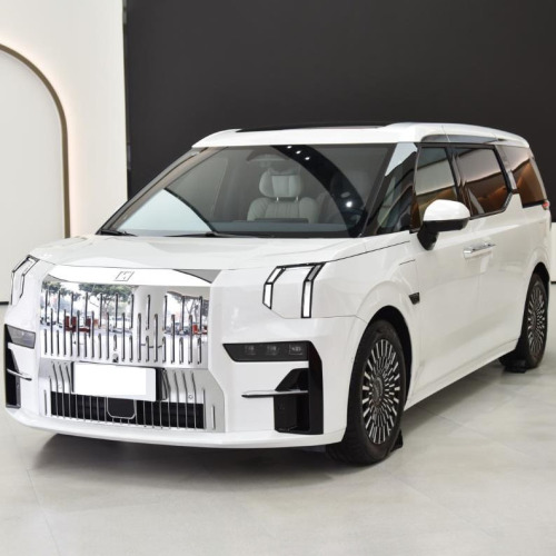 Long Bettery Life China Brand 6 Seat ZEEKR 009 Mpv New Energy Vehicles Electric Cars