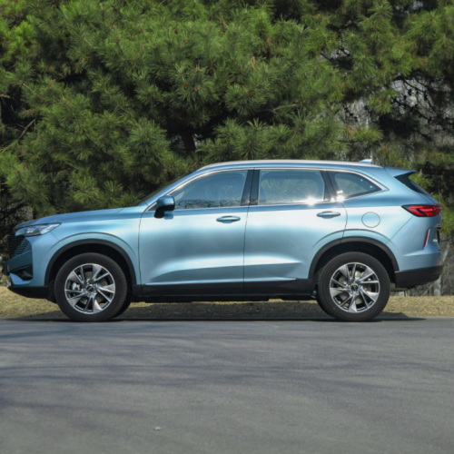 2023 SUV New Energy Vehicle Hybrid GWM Haval H6 Electric Cars