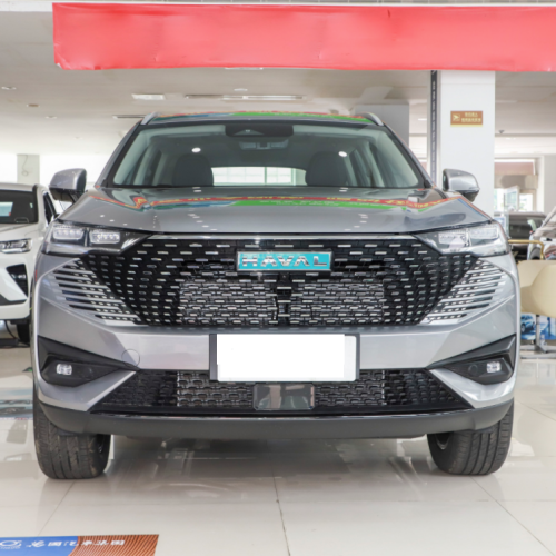 2023 SUV New Energy Vehicle Hybrid GWM Haval H6 Electric Cars