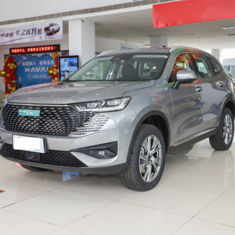 2023 SUV New Energy Vehicle Hybrid GWM Haval H6 Electric Cars