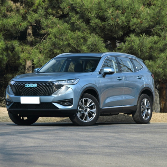 2023 SUV New Energy Vehicle Hybrid GWM Haval H6 Electric Cars