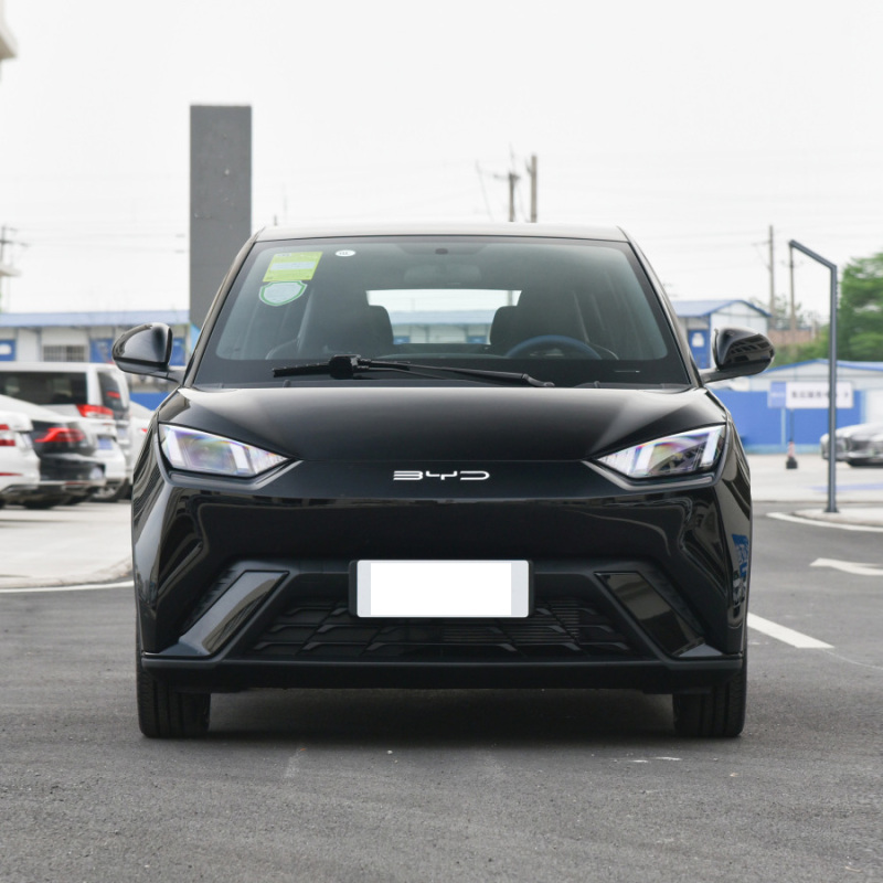 Best Selling Flying Version 405km Byd Seagull Mini New Energy Vehicle Byd Electric Cars
