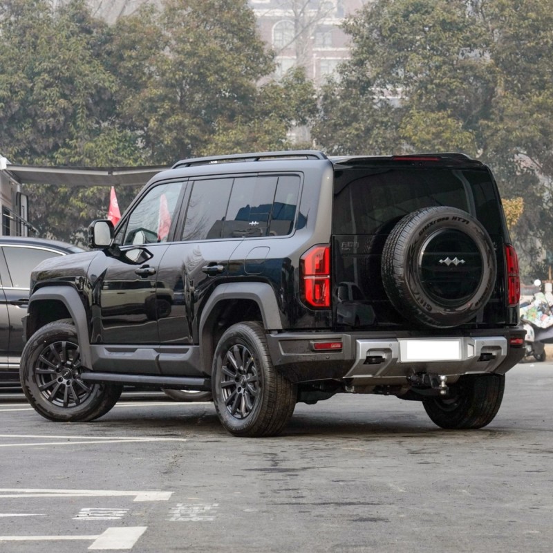 Fabricado na China 2024 4WD AWD BYD Formula Bagel Bao 5 carros híbridos elétricos para adultos