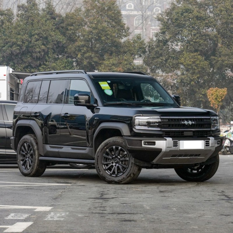 Fabricado na China 2024 4WD AWD BYD Formula Bagel Bao 5 carros híbridos elétricos para adultos