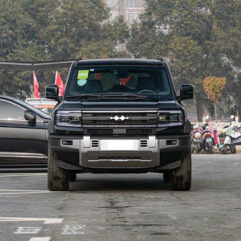 Fabricado na China 2024 4WD AWD BYD Formula Bagel Bao 5 carros híbridos elétricos para adultos