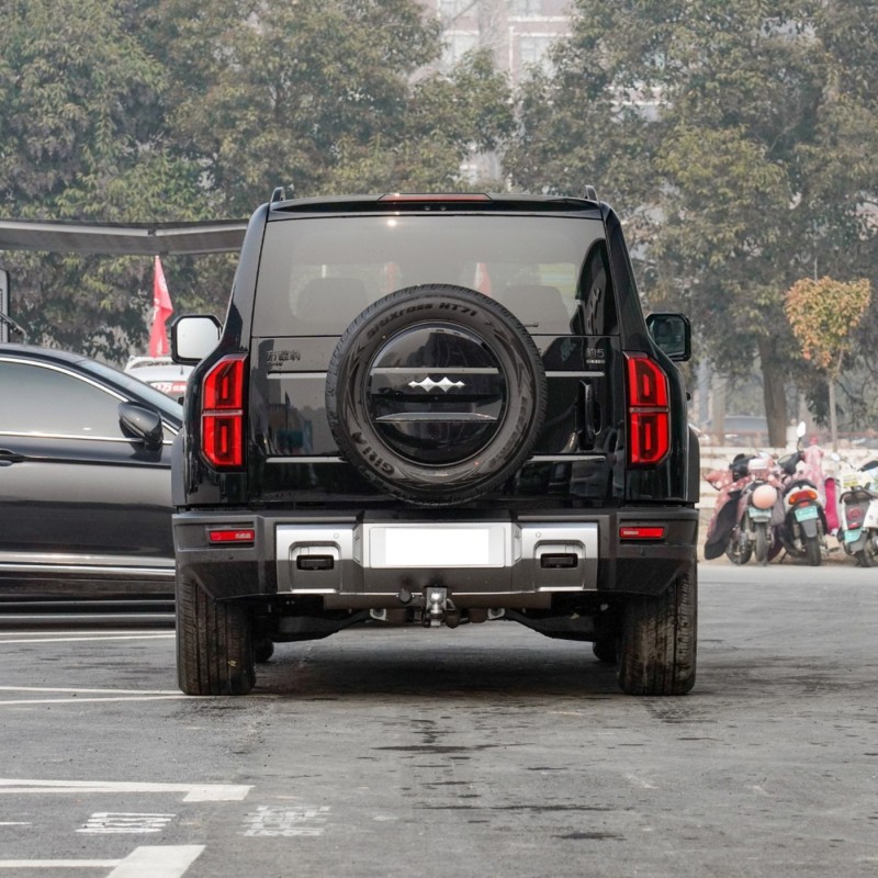 Fabricado na China 2024 4WD AWD BYD Formula Bagel Bao 5 carros híbridos elétricos para adultos