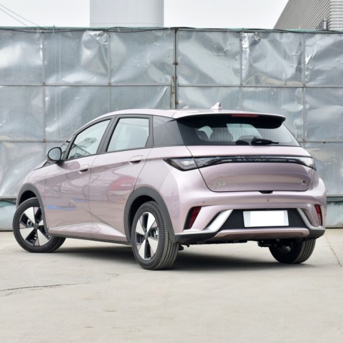 BYD Dolphin 2022 2023 Chinese Cheap Ev Mini New Energy Vehicles Electric Cars