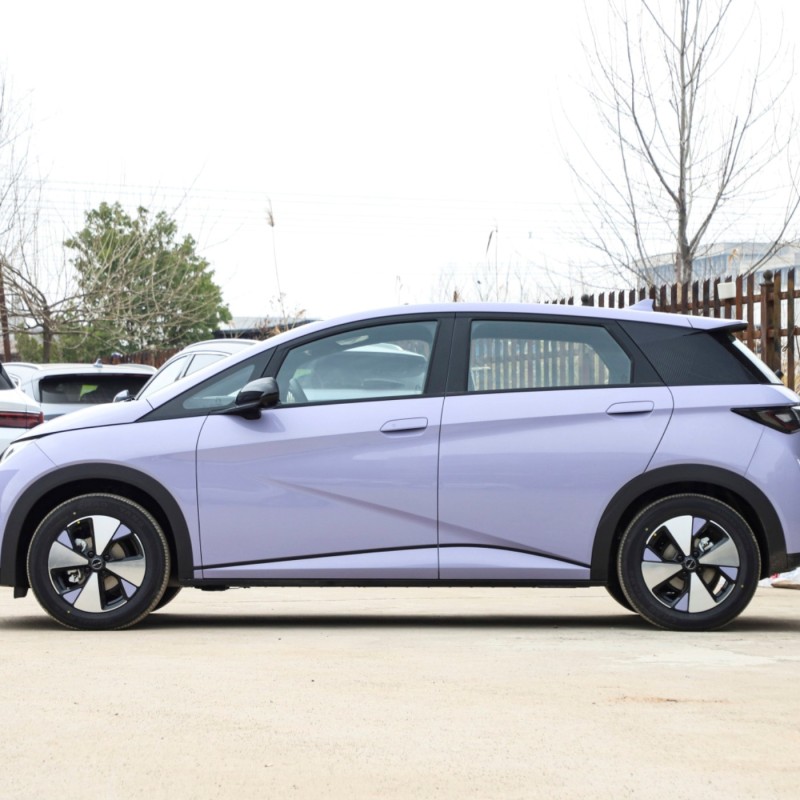 2023 Cheap BYD Dolphin 2wd Small New Energy Vehicle Mini Electric Cars for sale