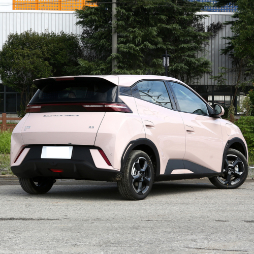 2023 Hot Sale Five-door four-seater hatchback 9.6kwh BYD Seagull New Energy car vehicles