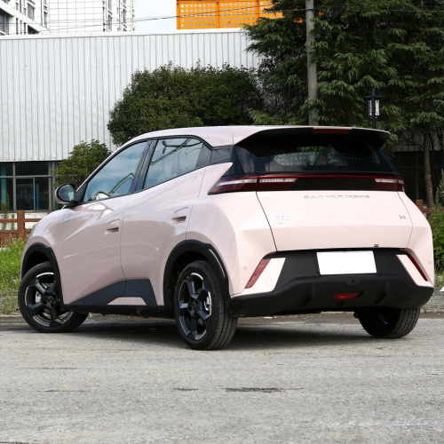 2023 Hot Sale Five-door four-seater hatchback 9.6kwh BYD Seagull New Energy car vehicles
