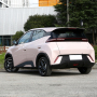 2023 Hot Sale Five-door four-seater hatchback 9.6kwh BYD Seagull New Energy car vehicles
