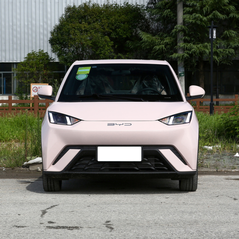 2023 Hot Sale Five-door four-seater hatchback 9.6kwh BYD Seagull New Energy car vehicles