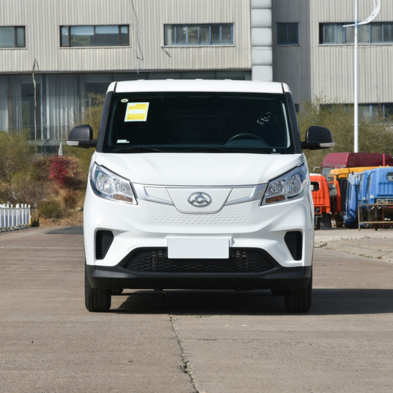 Veicolo di nuova energia per auto da carico elettrica a basso prezzo Cina Shangqi Maxus Ev30 2Seats in vendita