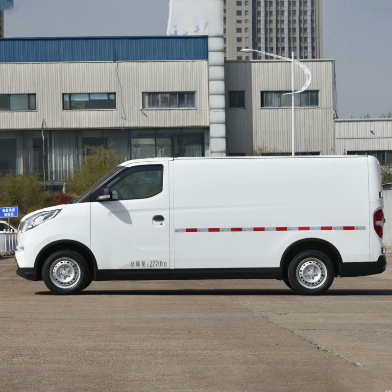 Veicolo di nuova energia per auto da carico elettrica a basso prezzo Cina Shangqi Maxus Ev30 2Seats in vendita