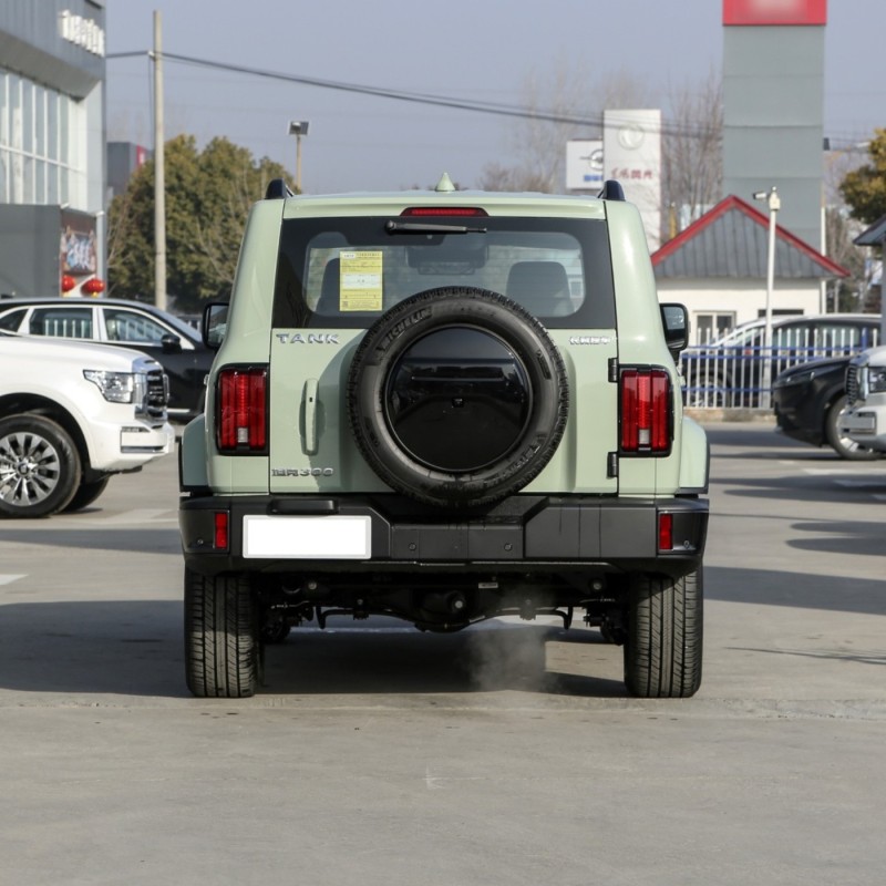 WEY New Car Tank 500 Full Option Gasoline Tank 300 SUV Cars for Adult