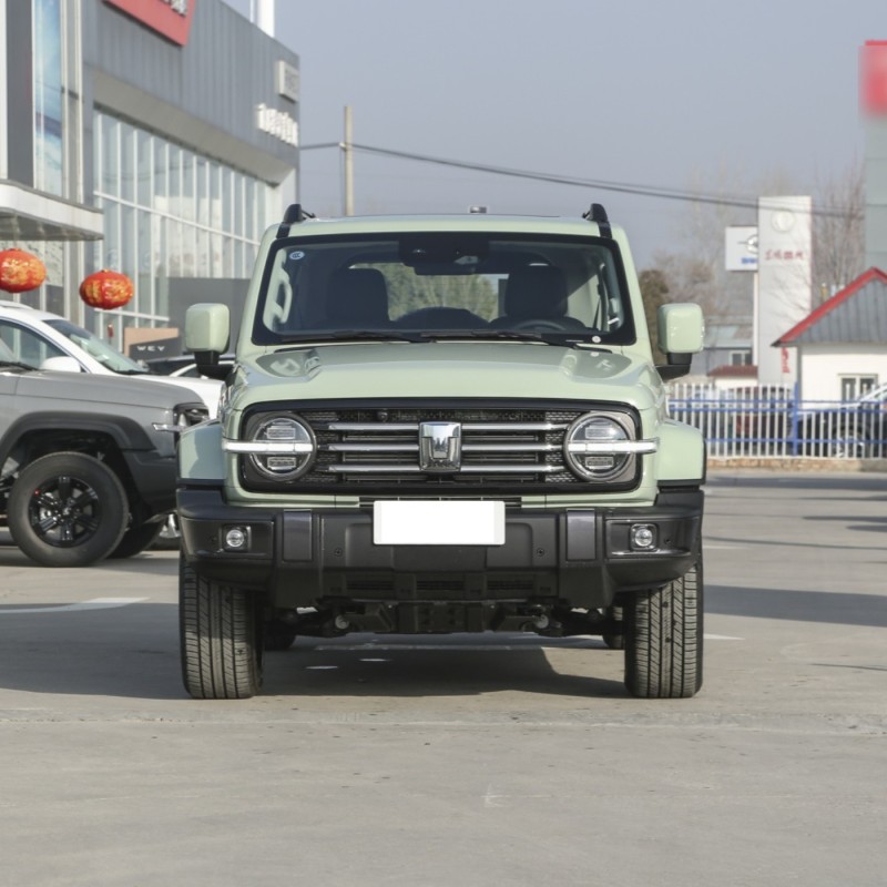 WEY New Car Tank 500 Full Option Gasoline Tank 300 SUV Cars for Adult