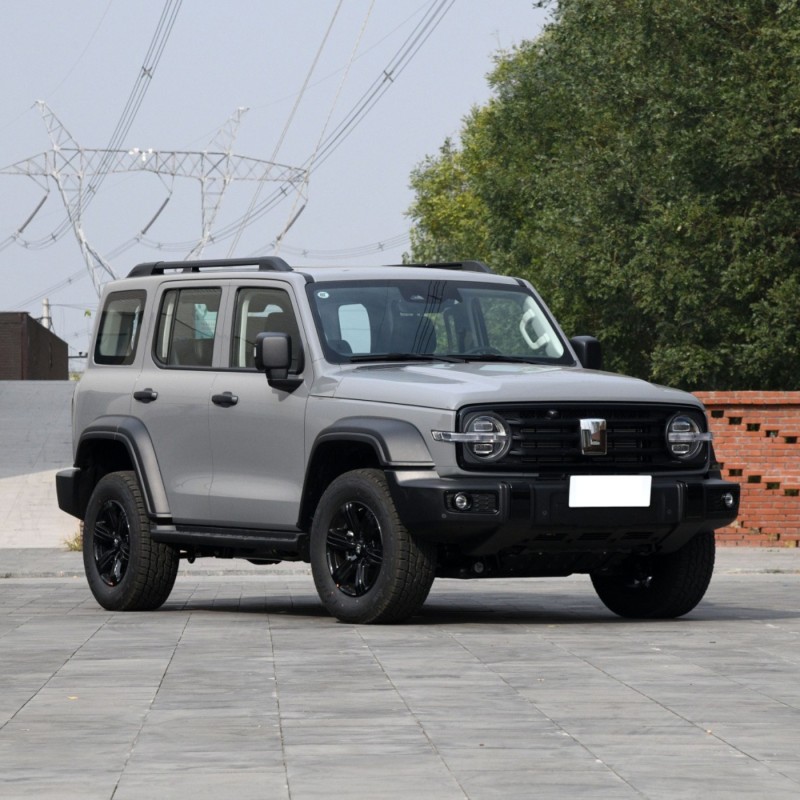 2023 SUV GWM Tank 300 5 Seats 2.0T AWD Petrol Gasoline Car for sale