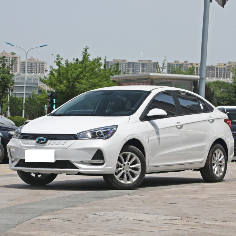 2023 Guojin Junxing Standard Edition 2WD New Energy Vehicle Electric Cars Made In China