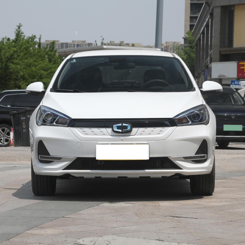 2023 Guojin Junxing Standard Edition 2WD New Energy Vehicle Electric Cars Made In China