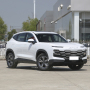 China Hot Sale Cheap Petrol Chery Jetour Dasheng 2023 King Max Gasoline Cars In stock