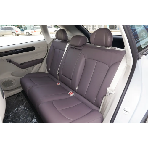 Leapmotor C11 T03 Adult Electric Cars Electric Vehicle