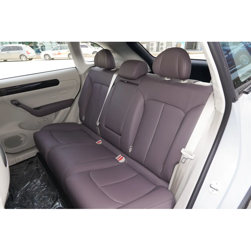 Leapmotor C11 T03 Adult Electric Cars Electric Vehicle