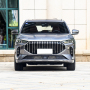 China 2022 New Jetour X70 1.5T Side Step Gasoline Suv Petrol Car