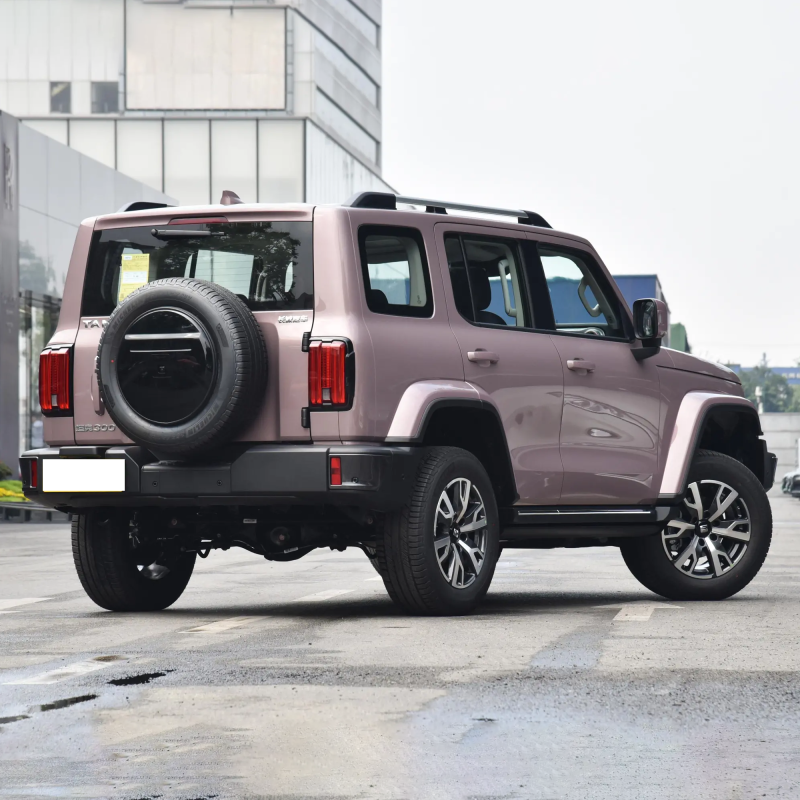 Best Selling 2023 4wd 2.0T Gwm Petrol Gasoline Tank 300 Suv Car For Adult