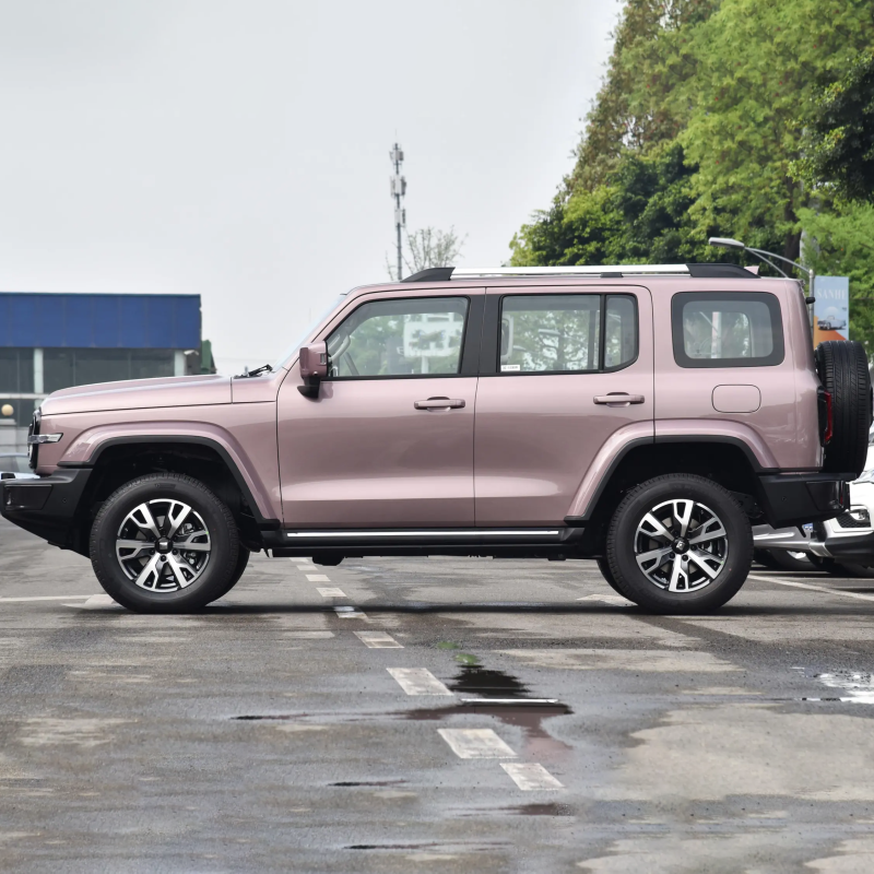 Best Selling 2023 4wd 2.0T Gwm Petrol Gasoline Tank 300 Suv Car For Adult