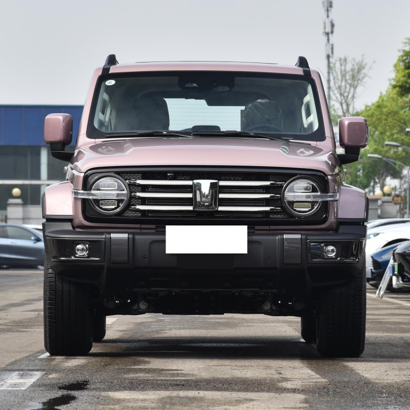 Best Selling 2023 4wd 2.0T Gwm Petrol Gasoline Tank 300 Suv Car For Adult
