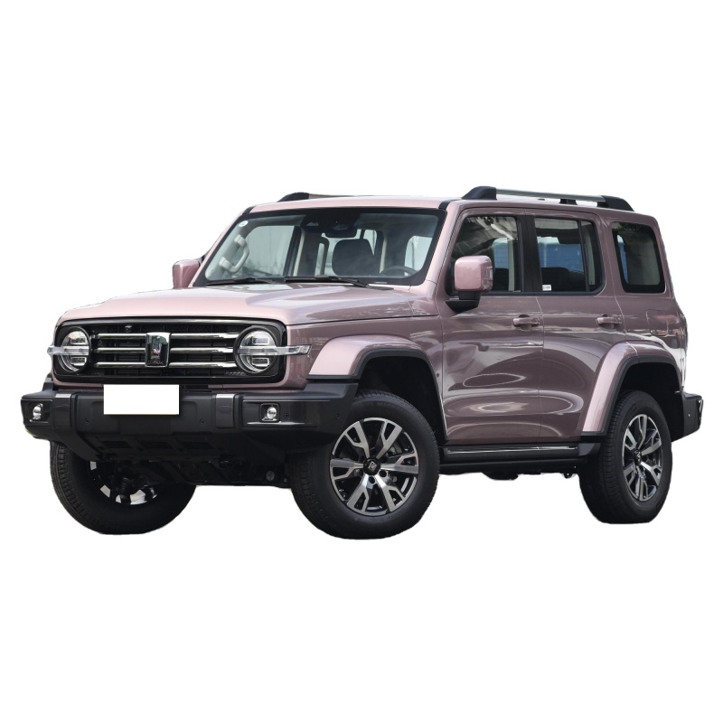 Best Selling 2023 4wd 2.0T Gwm Petrol Gasoline Tank 300 Suv Car For Adult
