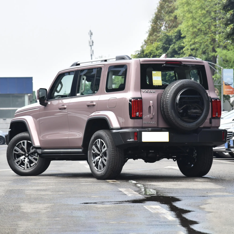 Best Selling 2023 4wd 2.0T Gwm Petrol Gasoline Tank 300 Suv Car For Adult