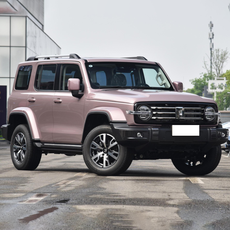 Best Selling 2023 4wd 2.0T Gwm Petrol Gasoline Tank 300 Suv Car For Adult
