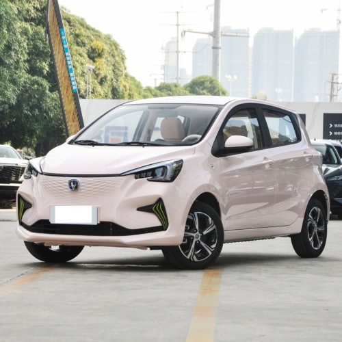 2023 Chinese Hot Sale New Energy Vehicle 310Km Minicar Changan Benben EStar Mini Electric Car For Sale