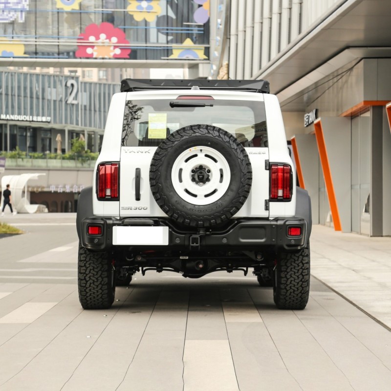2023 New Full 4WD Tank 300 Gasoline  Cars Accessories Suv