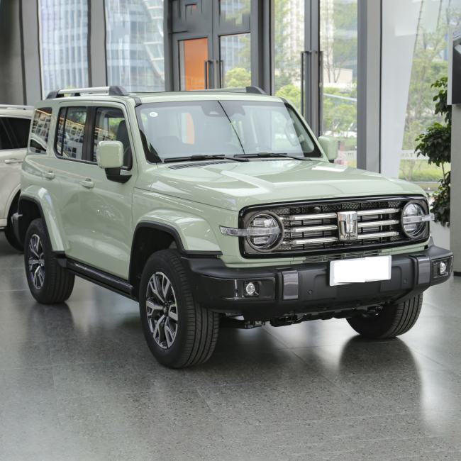 2024 Chinese Gwm Tank 300 4wd 4 Wheel Cross Country Petrol Gasoline Tank 300 Suv New Car