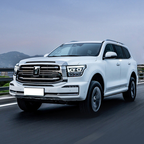China 2023 Top 360hp 3.0T 4 Wheel Petrol Gasoline 4WD Tank 300 500 Suv Cars