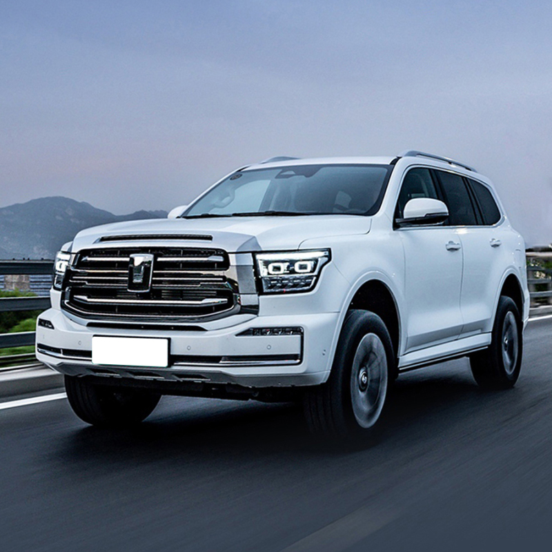 China 2023 Top 360hp 3.0T 4 Wheel Petrol Gasoline 4WD Tank 300 500 Suv Cars