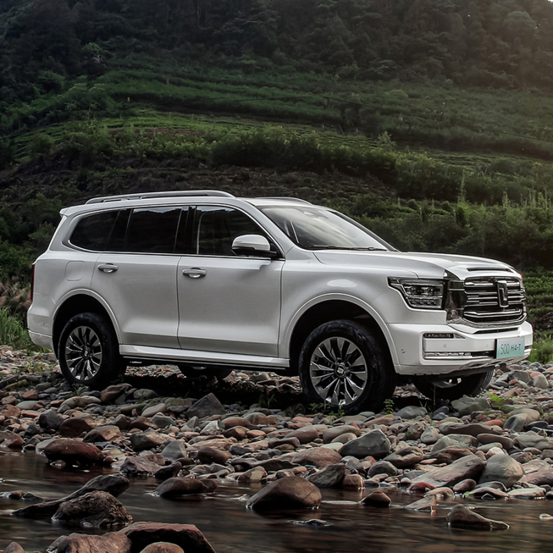 China 2023 Top 360hp 3.0T 4 Wheel Petrol Gasoline 4WD Tank 300 500 Suv Cars