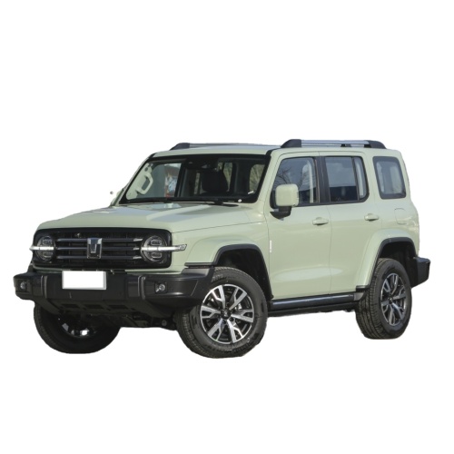 GWM Great Wall Tank 300 Accessories 4WD 4 Wheel New Petrol Gasoline Car Made In China