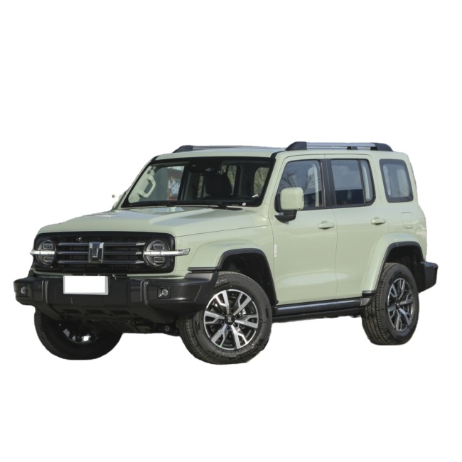 GWM Great Wall Tank 300 Accessories 4WD 4 Wheel New Petrol Gasoline Car Made In China