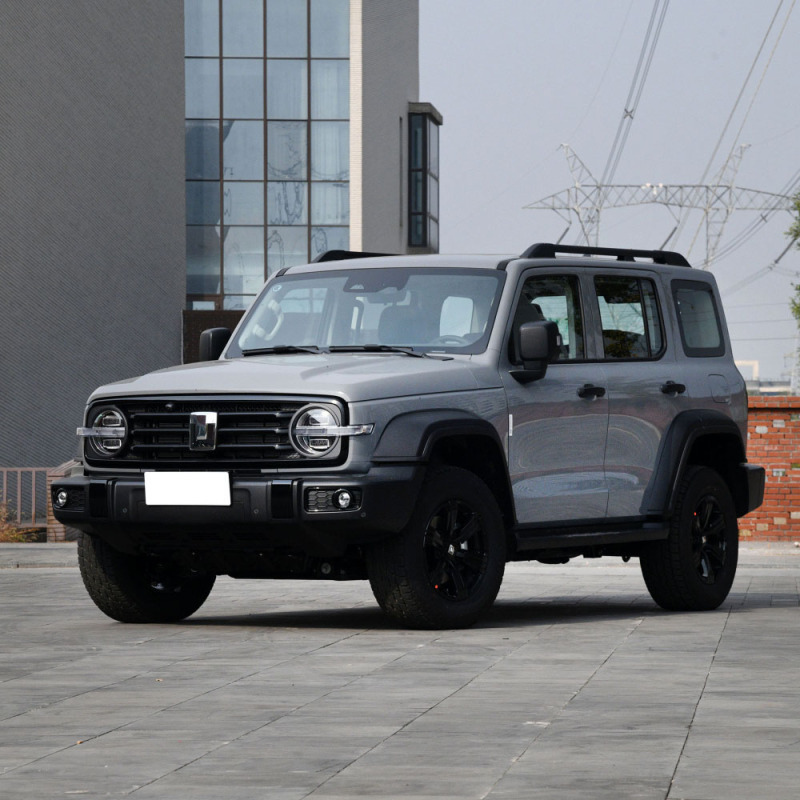 China Brand New Gwm 5 Seat 5 Door 2.0t Tank 300 Petrol Gasoline Suv Car For Adult