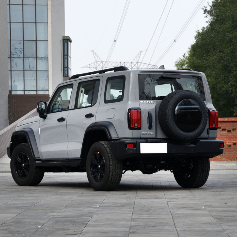 China Brand New Gwm 5 Seat 5 Door 2.0t Tank 300 Petrol Gasoline Suv Car For Adult