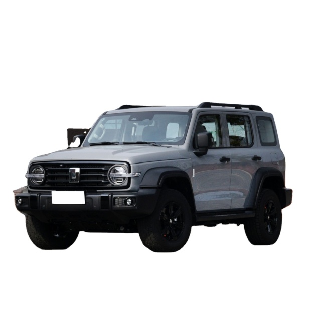 GWM Cyber Wey Tank 300 Full Options 227hp 5 Seaters Compact Suv Petrol Gasoline Cars