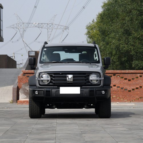 GWM Cyber Wey Tank 300 Full Options 227hp 5 Seaters Compact Suv Petrol Gasoline Cars